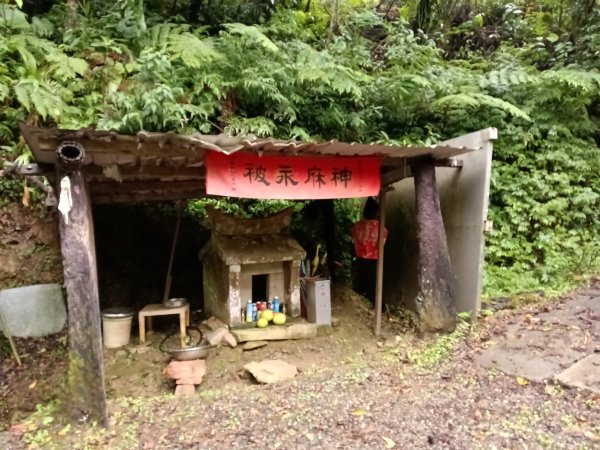 雙溪區中坑古道+大夯瀑布+中坑東山+中坑東山尾稜O型2921508