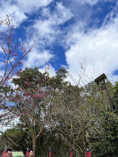 2022_0213_大凍山2039504