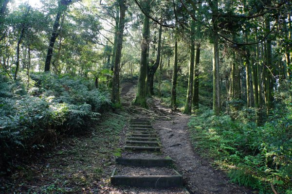 桃園-三峽 志繼山、東眼山、拉卡山、卡外山3005182