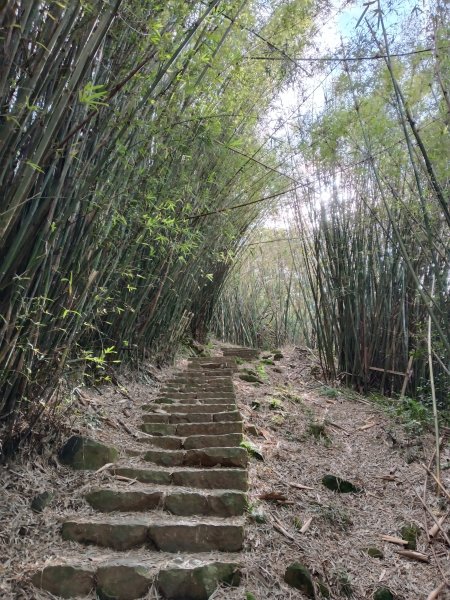 北投區清天宮步道+面天山+向天山+向天池+興福寮步道+頂青礐古道P字走2960029
