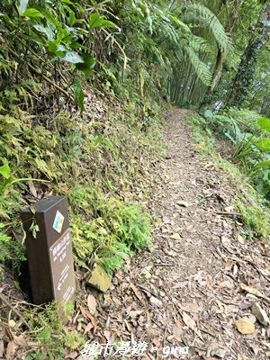 【台中和平】橫嶺山自然步道_木馬古道3095014