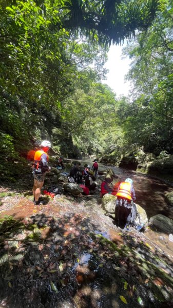 坪林-碧湖溪-蛋糕瀑布群（溯溪）2820902