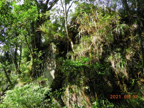 臺東 東河 都蘭山1262080