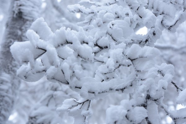  2021 D0101 純色北插1225519