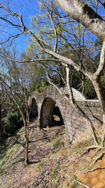 拱北殿賞楓🍁雙湖縱走賞落羽松2686647