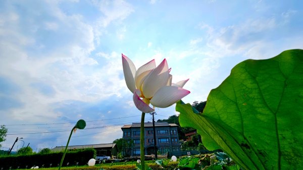 月眉坑瀑布步道.卯澳.雙柑公路2224825