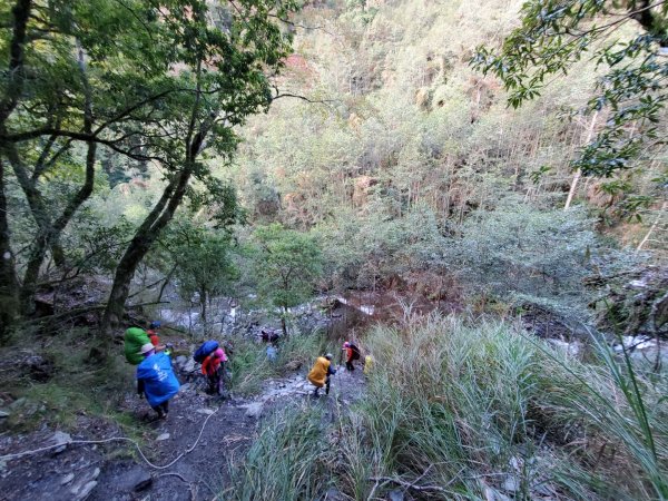 中橫大辣－屏風山1507800