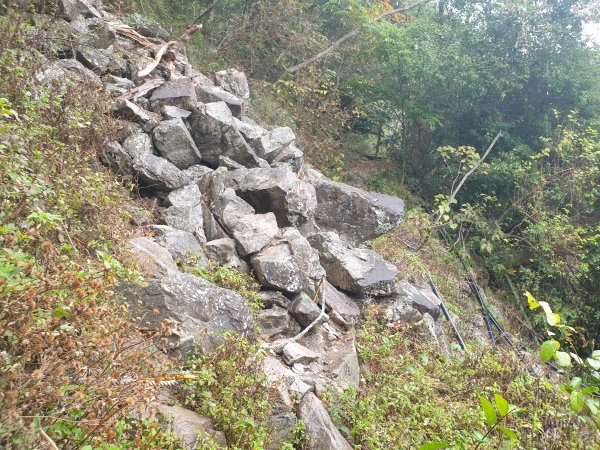 麗陽上屋我尾山2683106