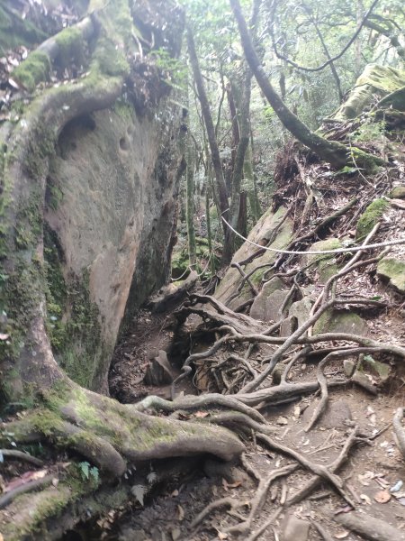 台版富士山_苗栗加里山1172727