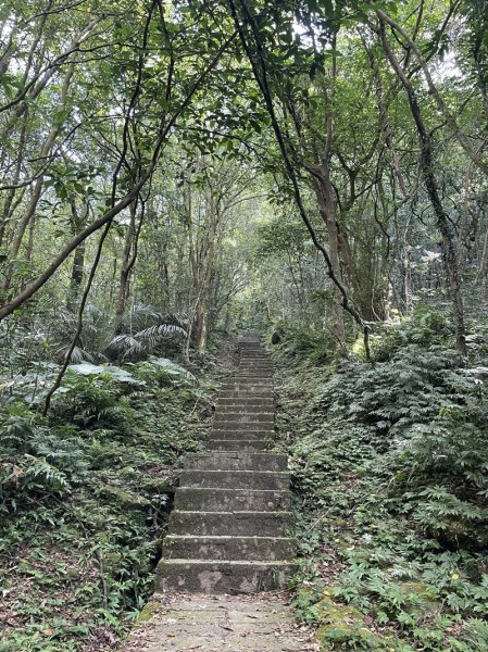 【二格山系】皇帝殿稜線2914119