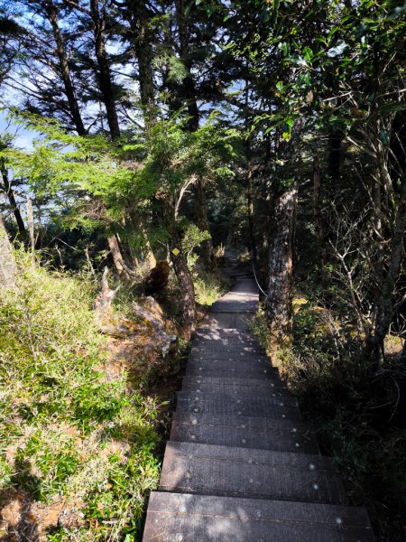 2026-02-09 庫哈諾辛山2999018