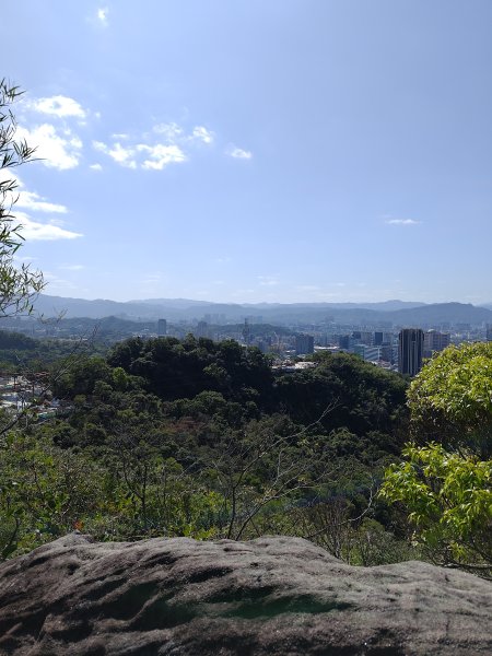 20260315金面山3015566