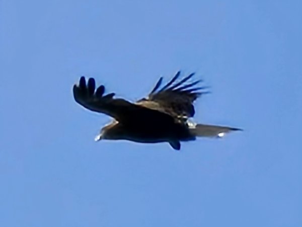 槓子寮砲台、槓子寮山步道（龍崗步道）（小百岳）2702010