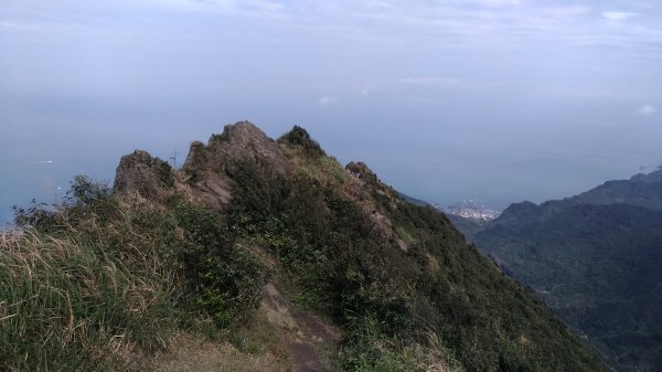 無耳茶壺山+半屏山+鋸齒稜+燦光寮山517290