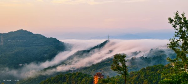 石碇趴趴走追雲趣 #二格山 #雲瀑 #藍腹鷴母鳥 #雲海流瀑 #霧虹 5/172788219