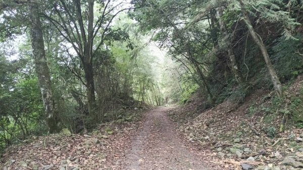 20251010 大雪山國家森林遊樂區 - 船型山林道 登 烏石坑山2911048