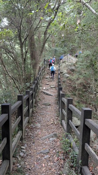 波津加山步道3021252
