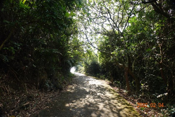 高雄 岡山 小崗山、岡山之眼1604301