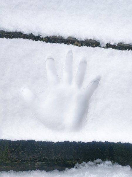 2020_01_28-29天池山莊下雪820434