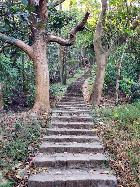 新竹湖口｜萬年道、仁和步道、金獅古道、漢卿步道2912206