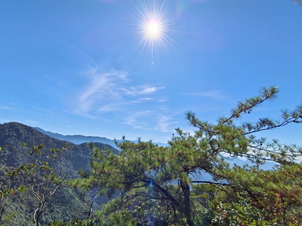 鳶嘴/稍來/稍來南峰O繞賞楓紅看小象2358815