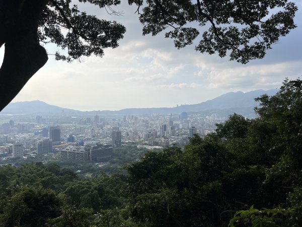 [山頂鳥40周年會員大縱走-14/15] 2024_0804 劍潭山親山步道2566170