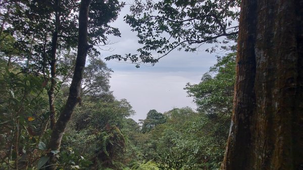 水社大山水社主峰新年二部曲1598815