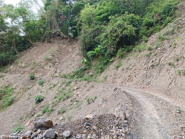 【高雄甲仙】沒有朵朵白雲。 小百岳集起來。 編號69小百岳-白雲山步道1713221