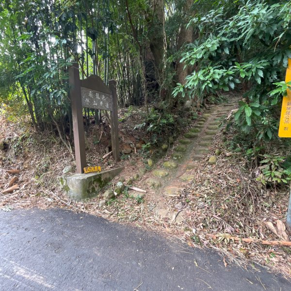 20231024_新竹飛龍健行步道（森遊竹縣）2762914