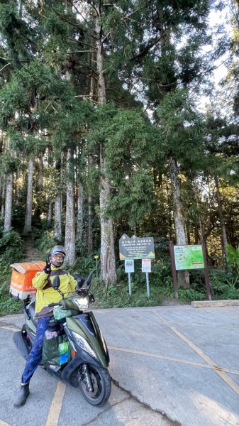 尖石🌳羅山林道野營-油羅山-竹苗小百岳3133109