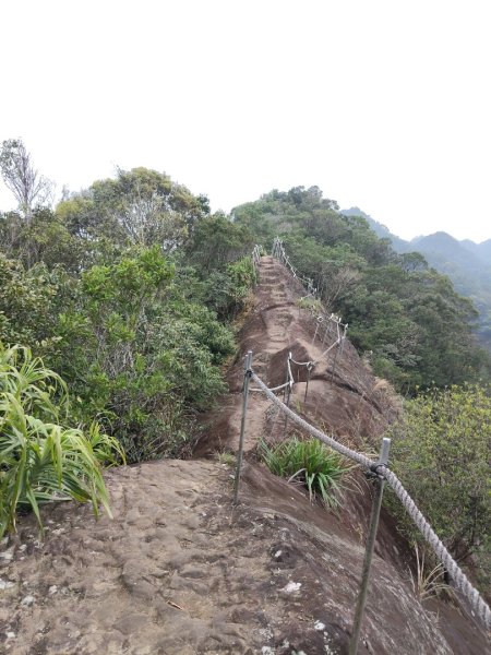 微笑山線：【二格山系】皇帝殿稜線段3003094