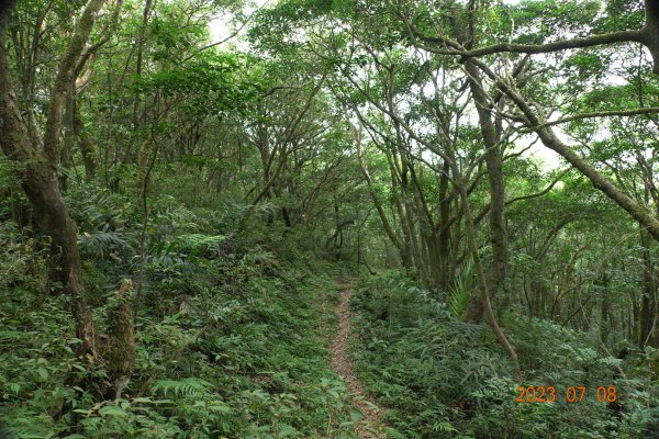 宜蘭 礁溪 鵲子山、五峰旗山、後湖子山2211637