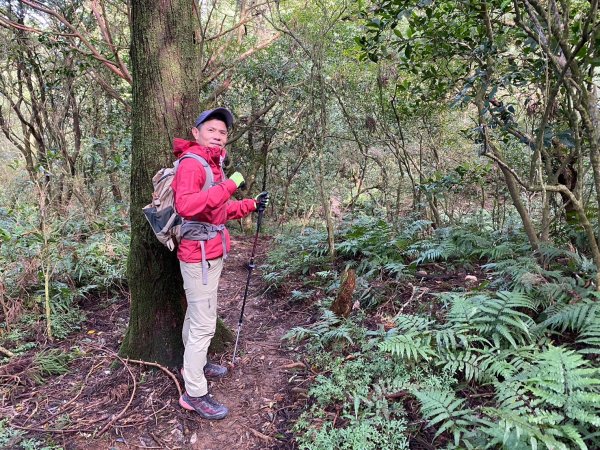 小觀音山群峰【當登山遇到惰性來襲時…】2686407