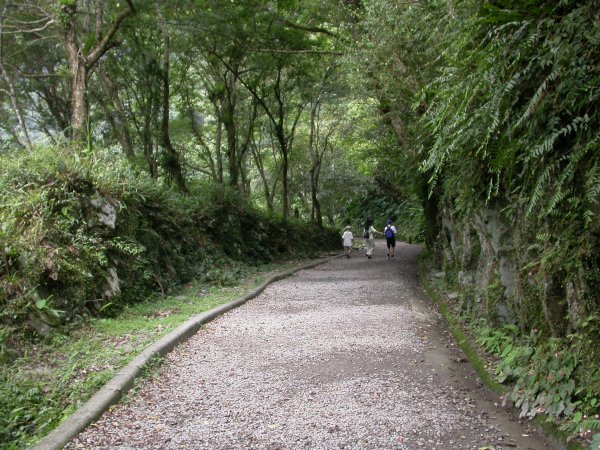 內洞森林遊樂區1966188