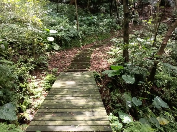 瑞芳區過港山+四腳亭砲台+深奧砲台山P字走2803755