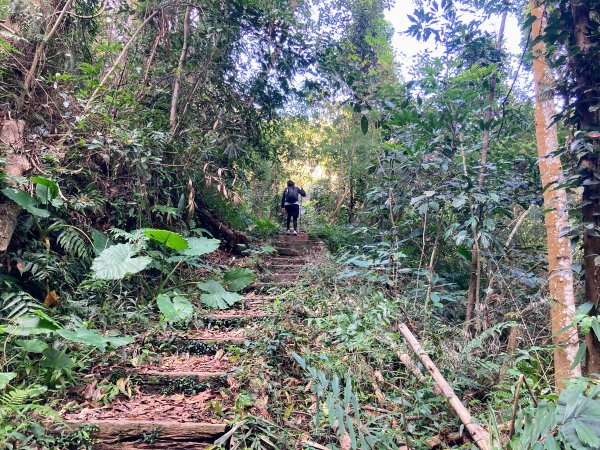 後尖山步道2683559