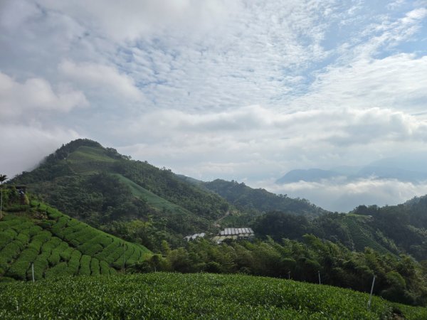 雲嘉六連峰（小百岳）2927993
