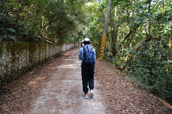 觀望山(德文山)2736167