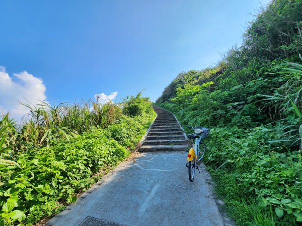 20230827 Ubike 金山 ~ 三芝2441115