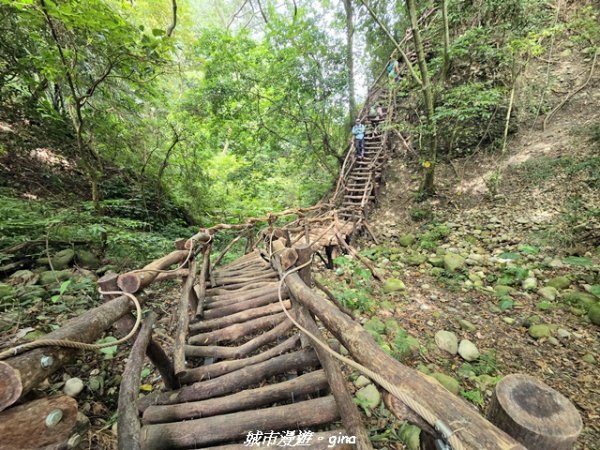 【台中北屯】大坑1號步道