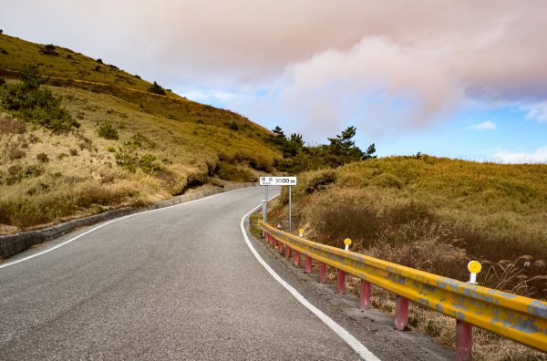 合歡北峰-圓柏的視野466862