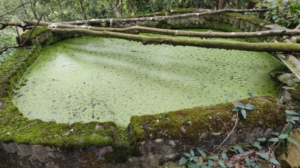 飛沙縱走33連峰2025年4月13日2760319