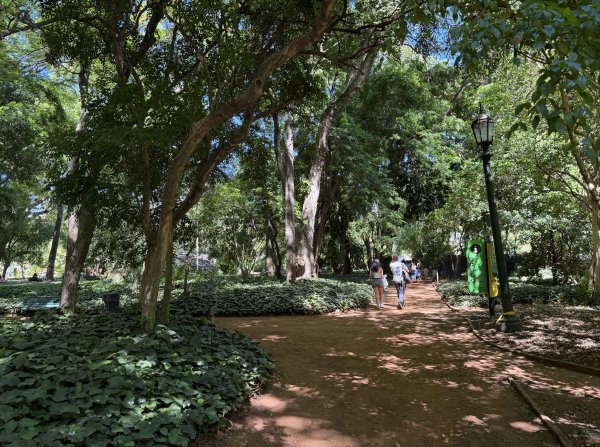 [紐約馬之行-60] 2025_1114 卡洛斯·泰斯植物園-下2954215