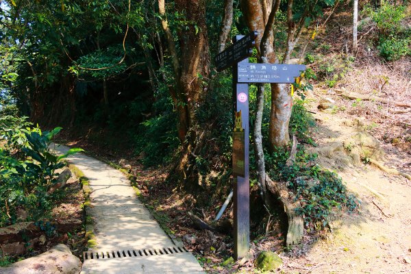 猴山岳。二格山。小獅山連走616142