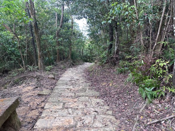 臺北大縱走第五段：捷運劍潭站至碧山巖2751303