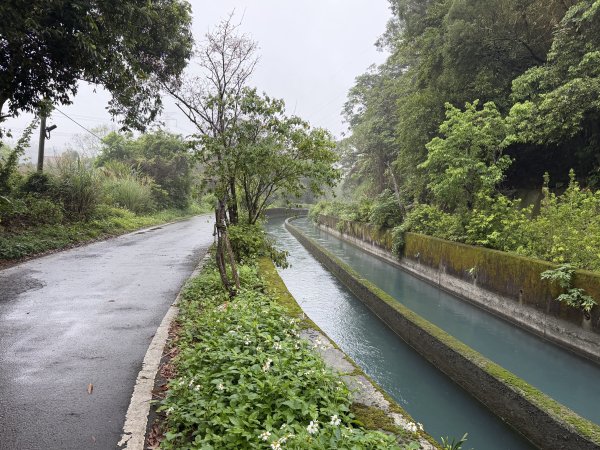 [樟之細路_第一大段RSA05] 2026_0329 石門大圳3027174