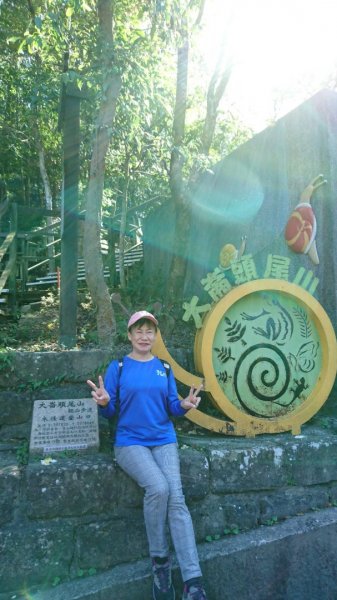 【臺北親山拓印趣】林蔭青蔥的大崙頭尾山738356