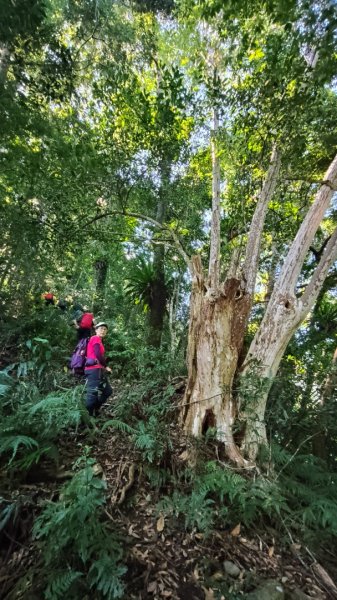 唐穗山11408162860922