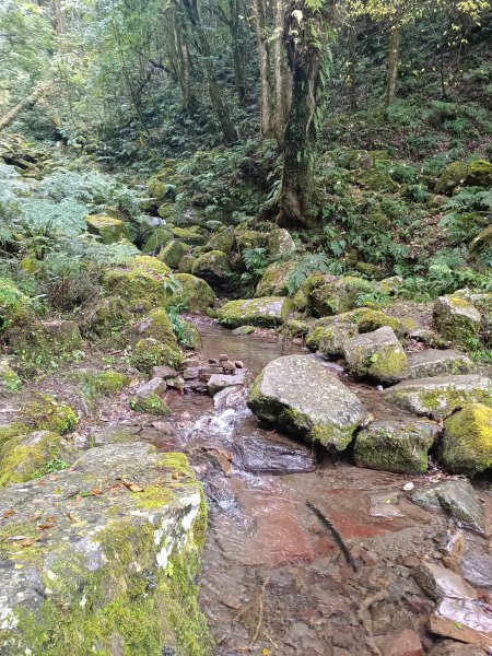 霞喀囉步道(全程)2972334