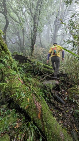 113.06.01魯壁山-東穗山之旅2529889